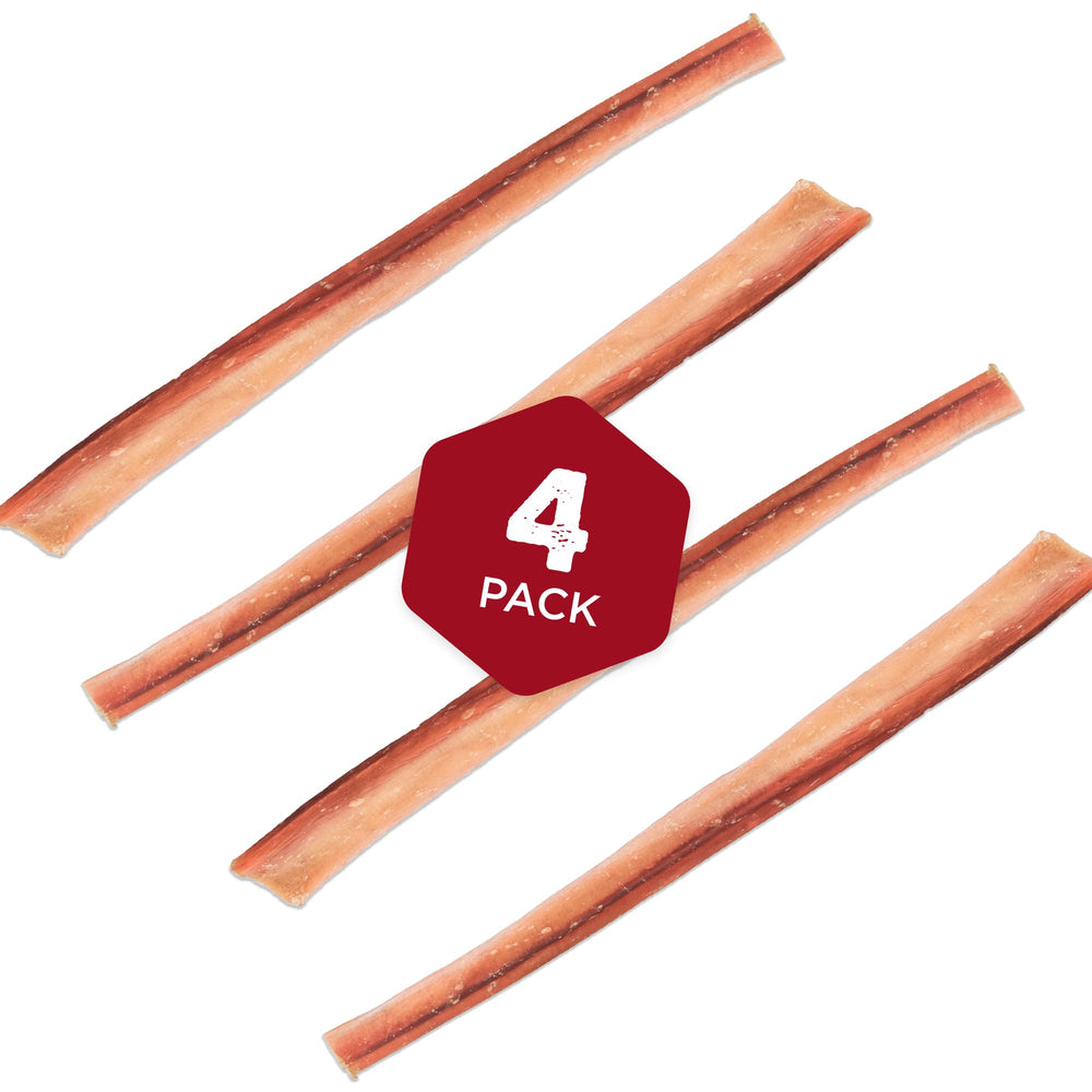 Best Bully Sticks single-ingredient beef chew for dogs.