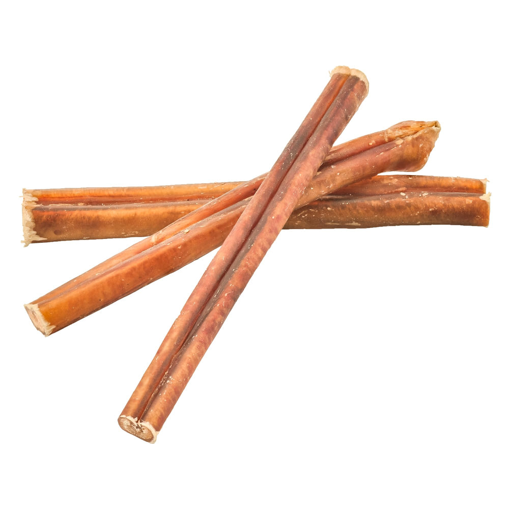 6 inch Best Bully Sticks chew ideal for teething and learning