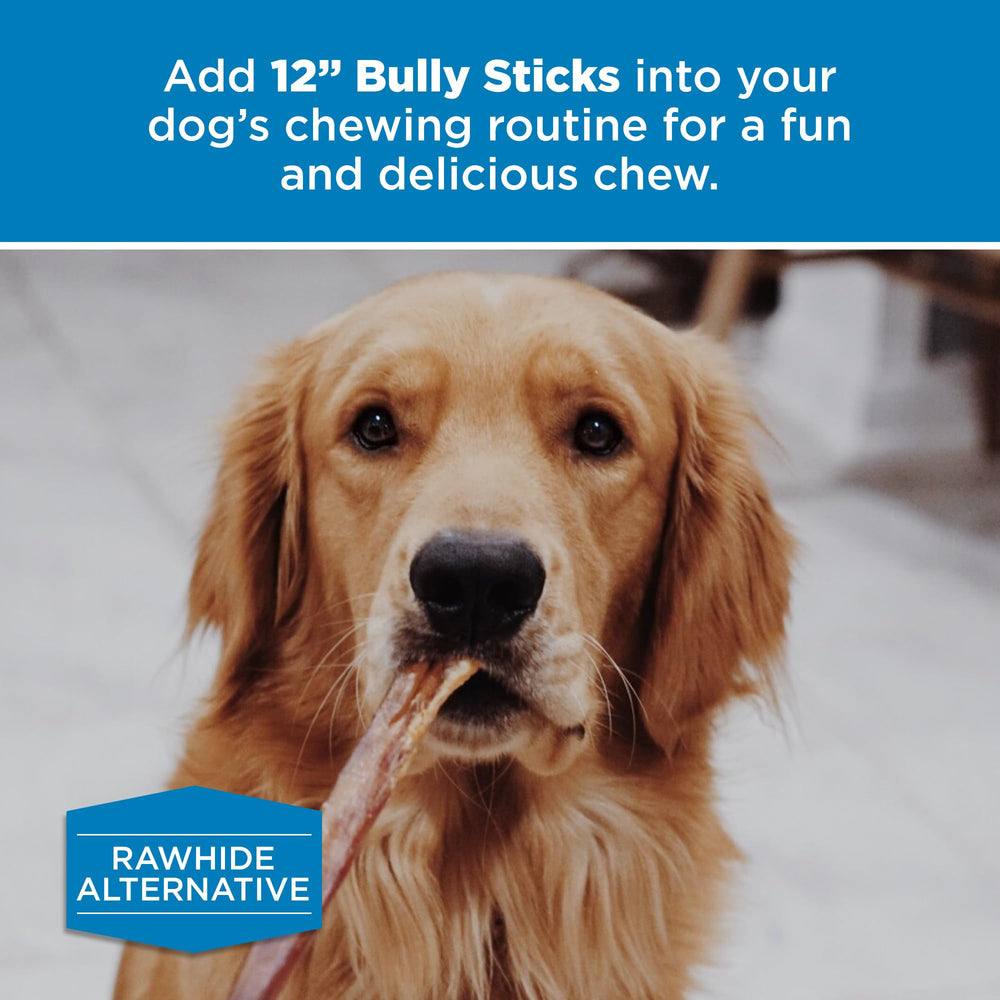 Best Bully Sticks teething large-breed puppies image shows a chew ideal for teething and training.