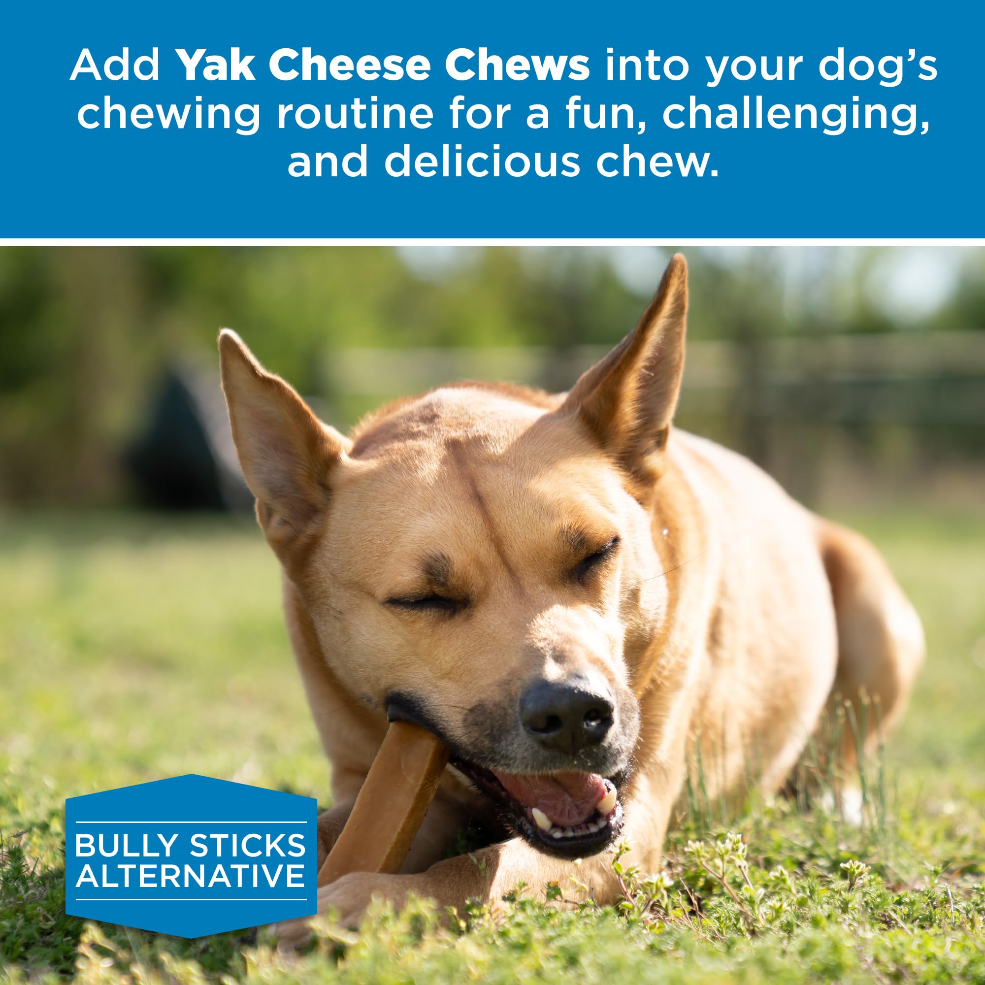 No lactose odor-free yak cheese chew for dogs by Best Bully Sticks