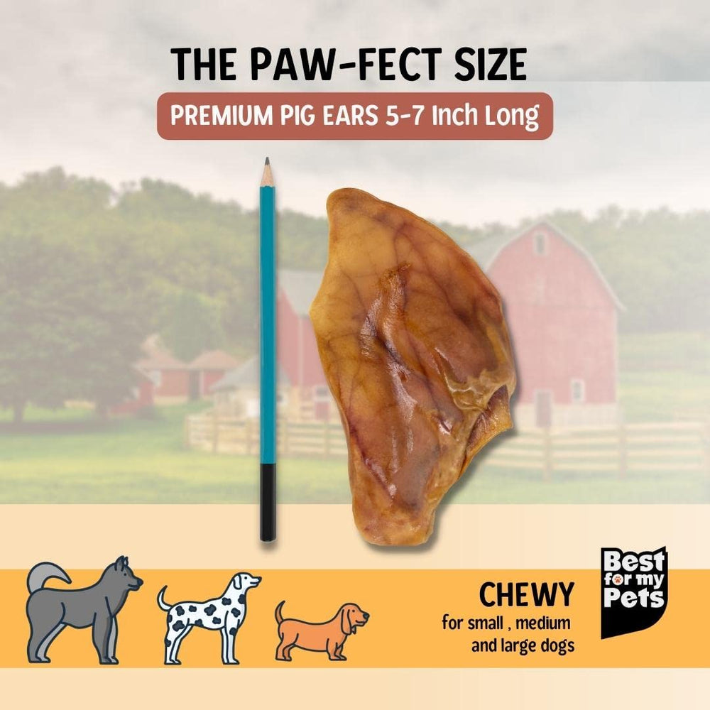 Best For My Pets pig ears are digestible for medium to large dogs.