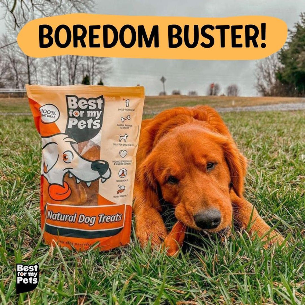 USA-inspected, woman-owned small-batch Best For My Pets production visible in packaging.