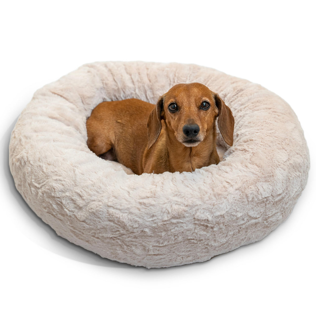 Best Friends by Sheri donut bed front view showing cozy security for small dogs.