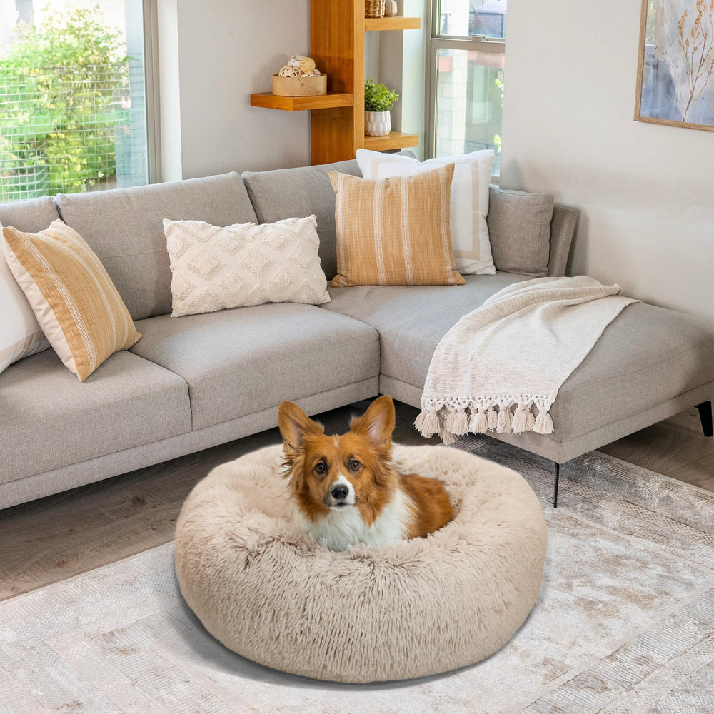 Best Friends by Sheri donut bed in a living room setting