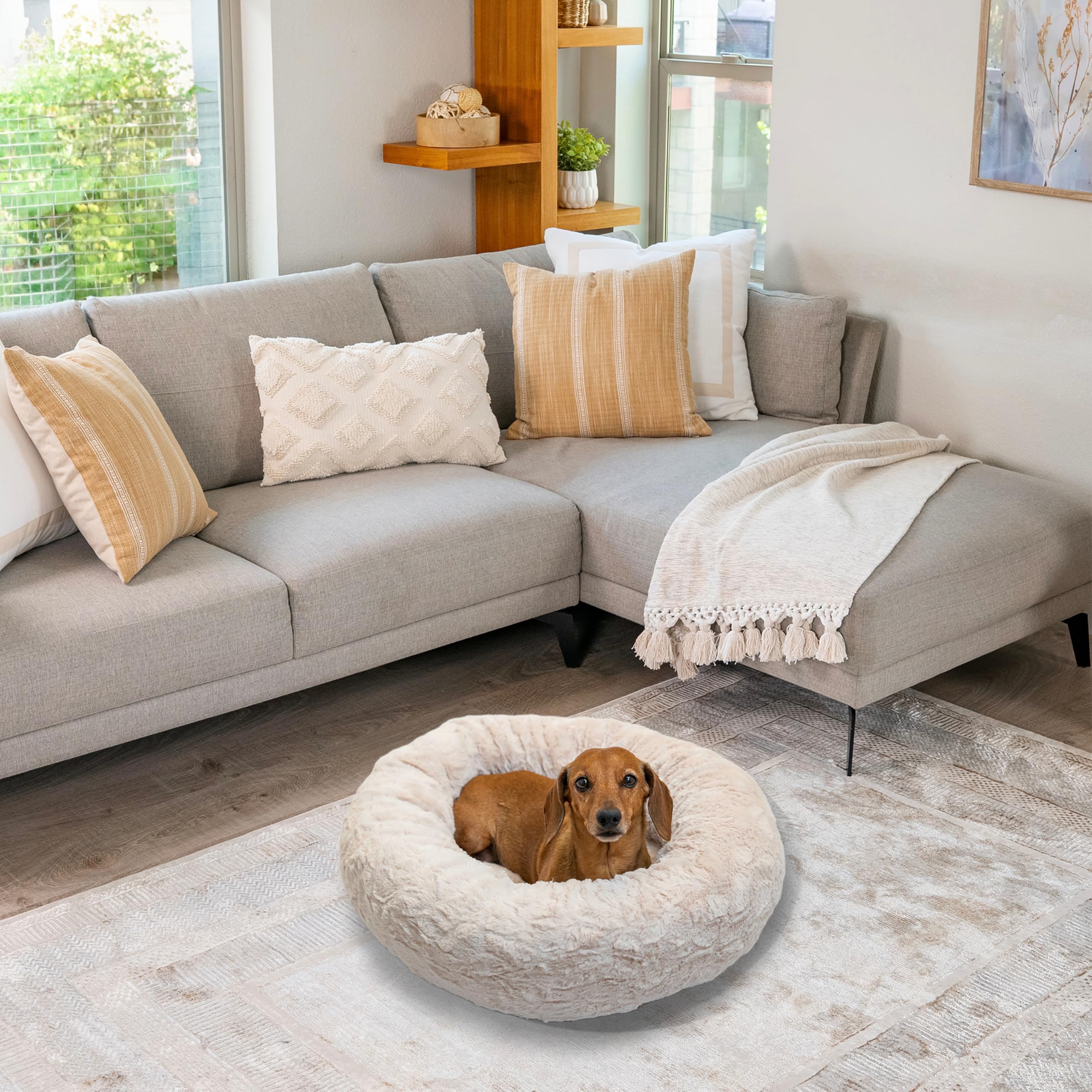 Best Friends by Sheri donut bed plush sleep scene with calm, content pet.