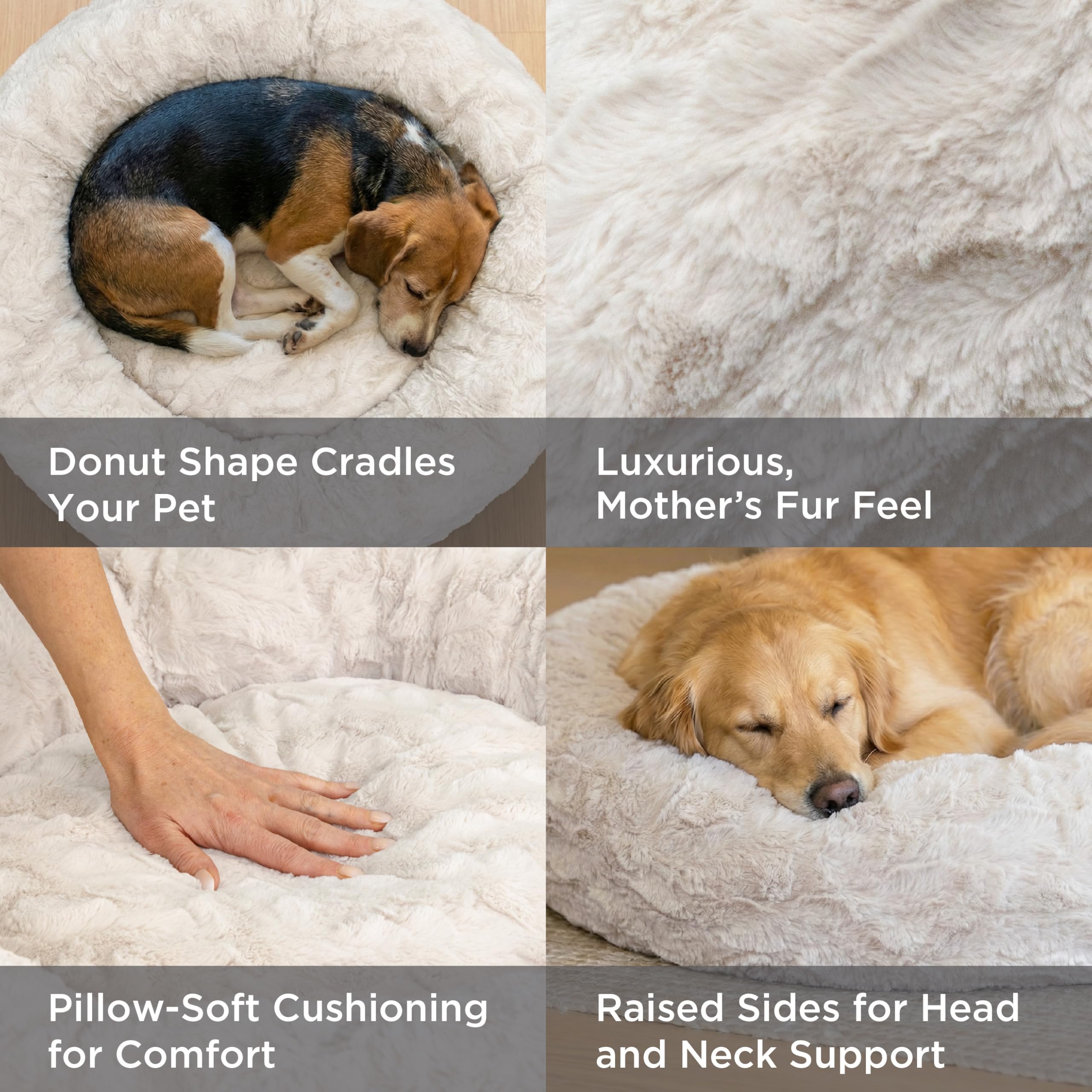 Best Friends by Sheri donut bed raised-edge bolster supports joints and neck.
