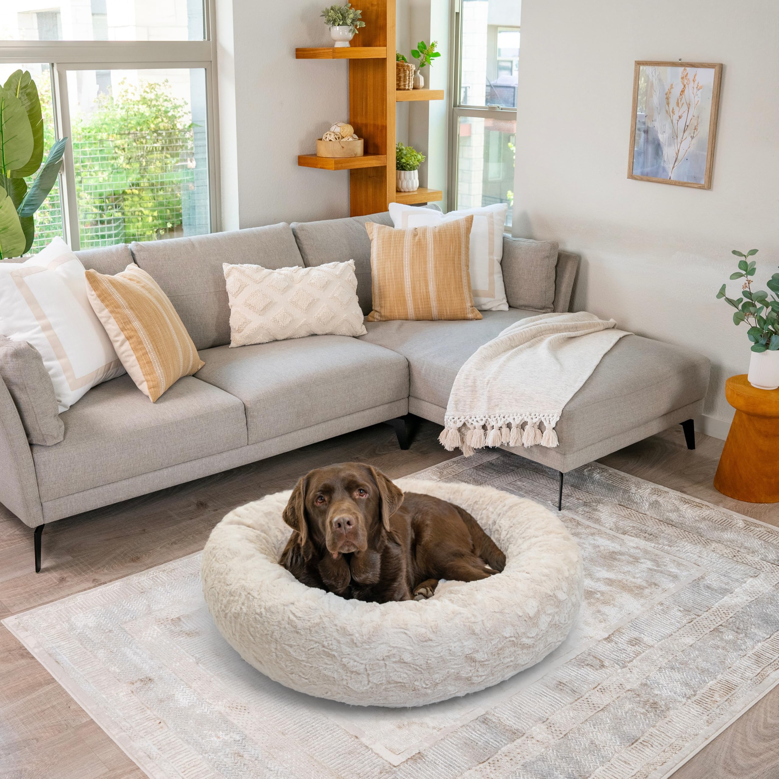 Best Friends by Sheri Shag option offers self-warming comfort for cold days
