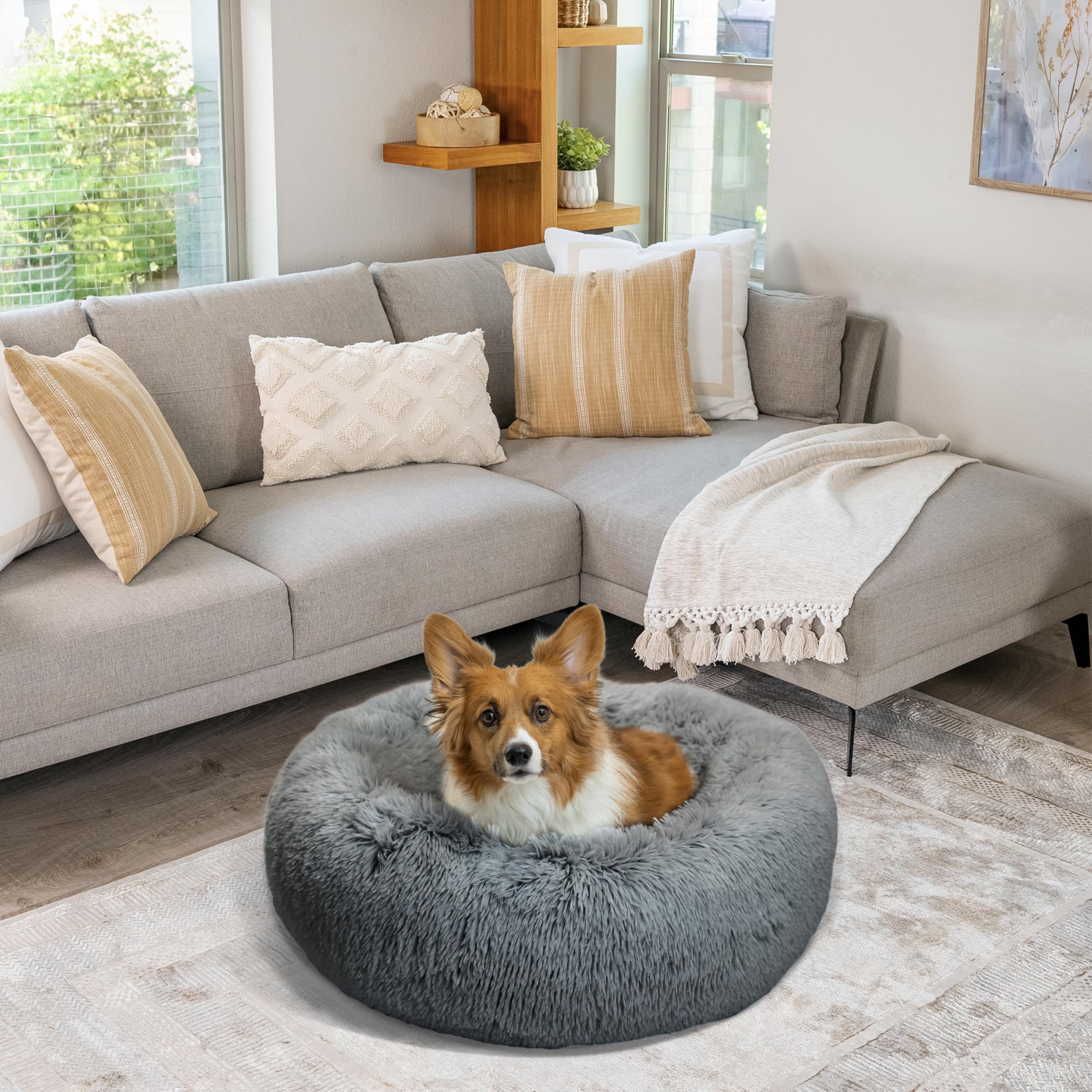 Best Friends by Sheri Lux fur close-up highlights breathable warmth.