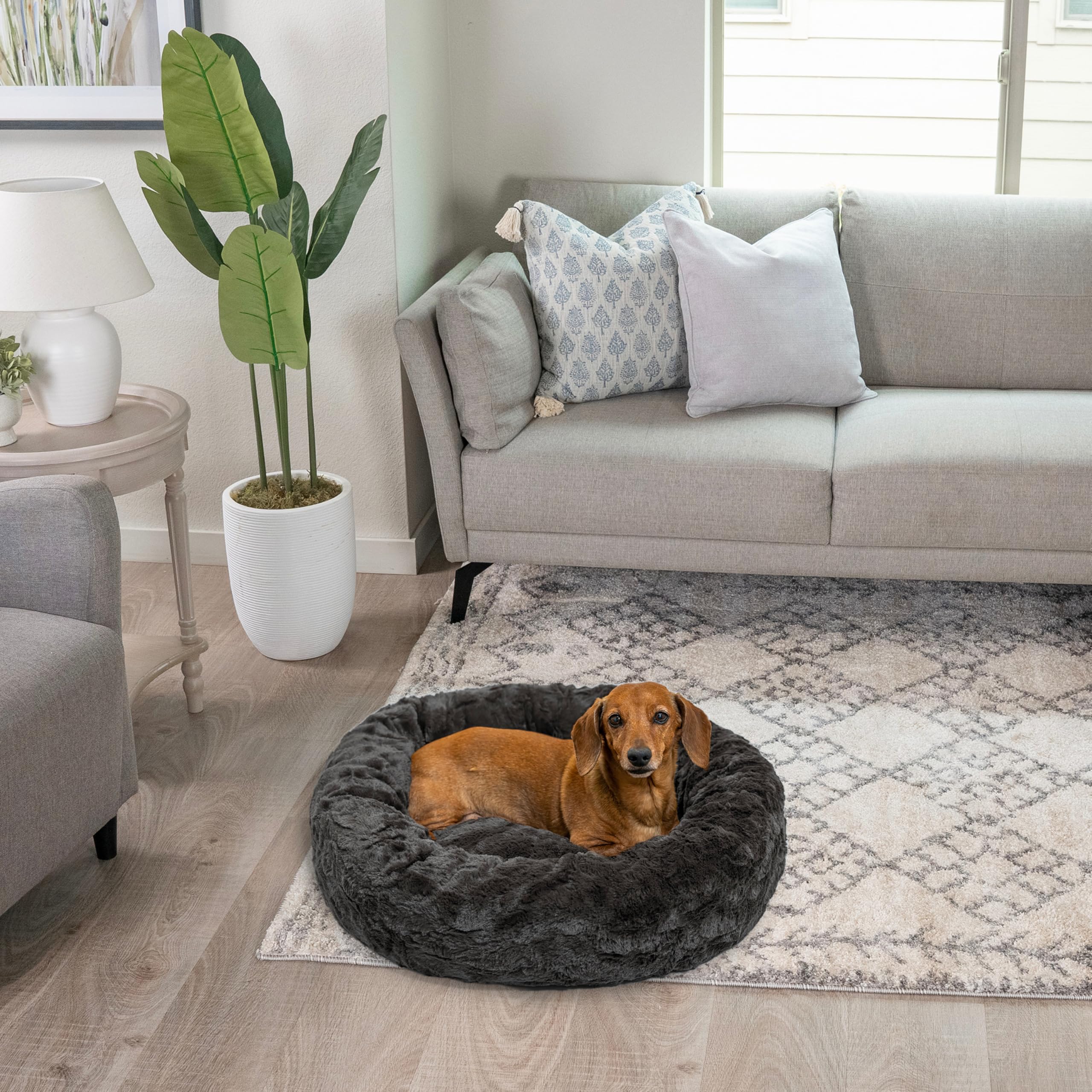 Removable cover option on Sheri donut bed for easy washing.