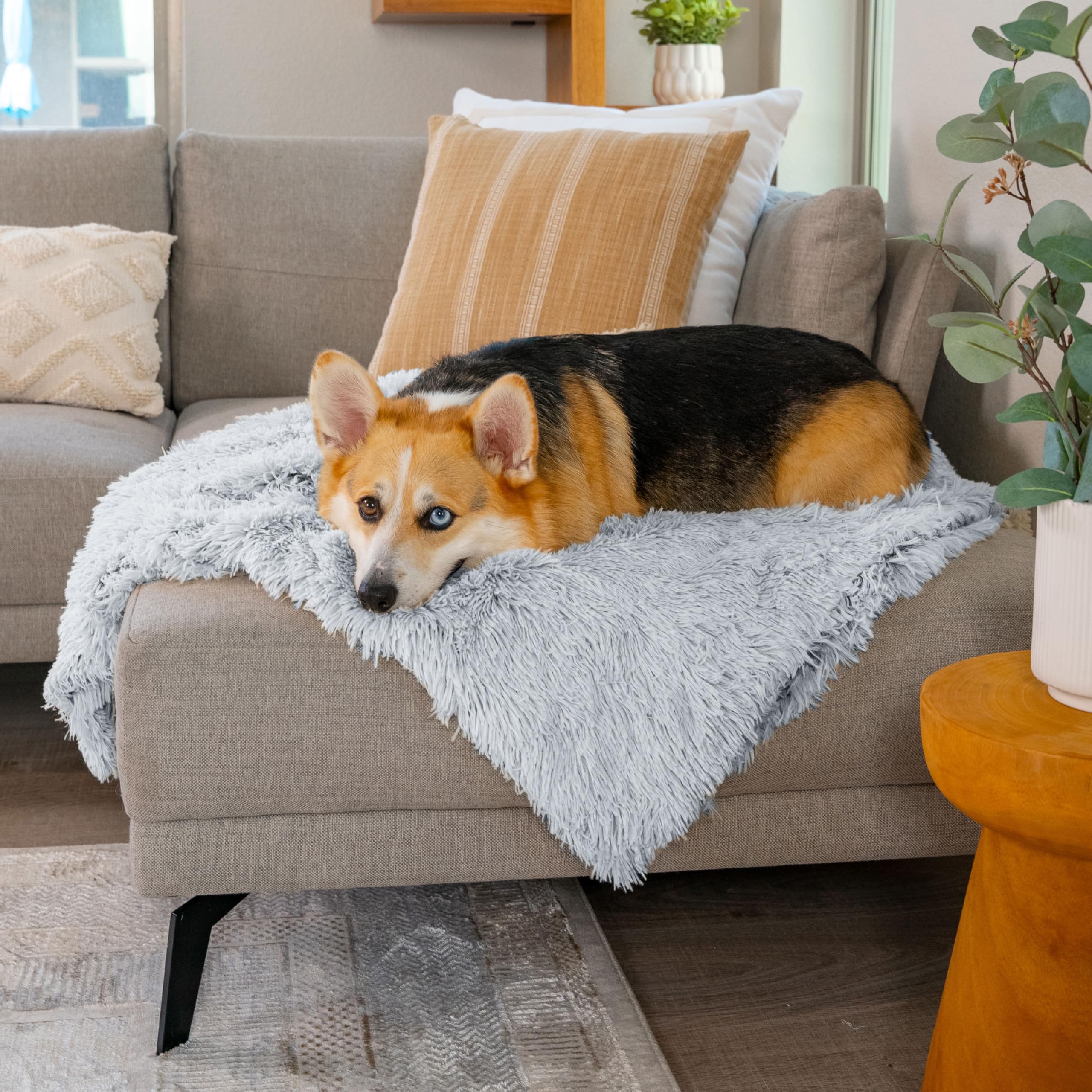 Best Friends by Sheri calming shag blanket machine washable for easy care