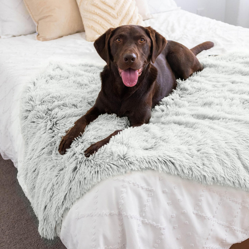 Best Friends by Sheri calming shag blanket bedroom accent—neutral frost gray decor.