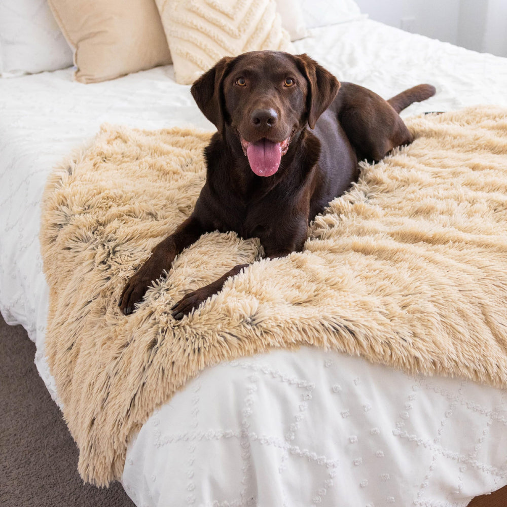 Best Friends by Sheri Calming Shag blanket as a topper on pet beds or kennels.