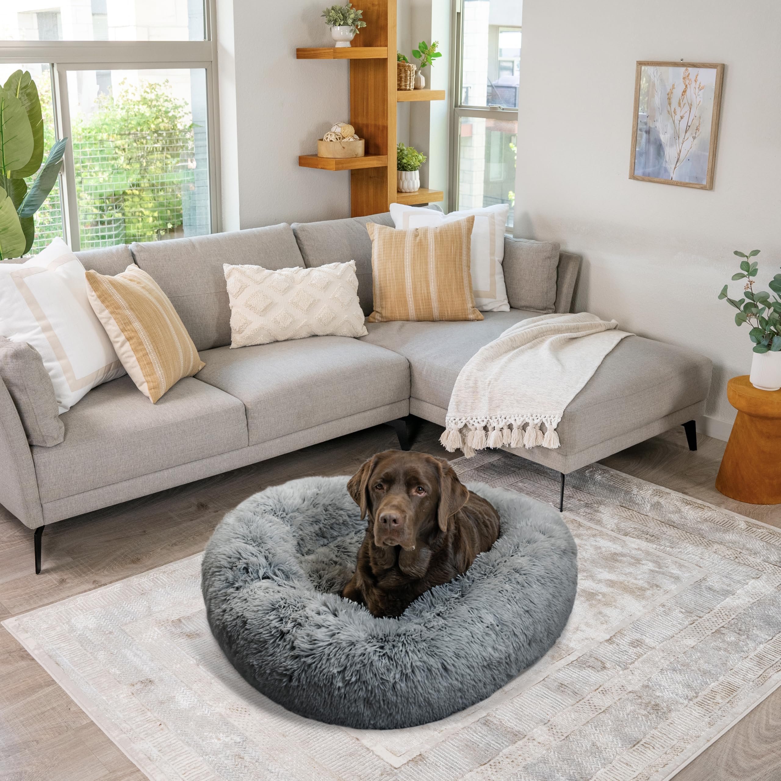 Best Friends by Sheri Donut Bed in living space, ideal for lounging.