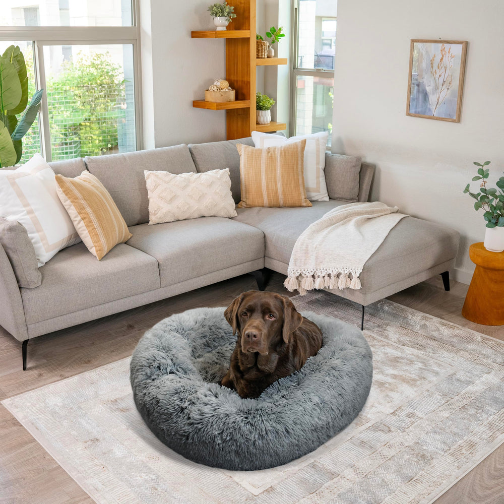 Best Friends by Sheri Donut Bed in living space, ideal for lounging.