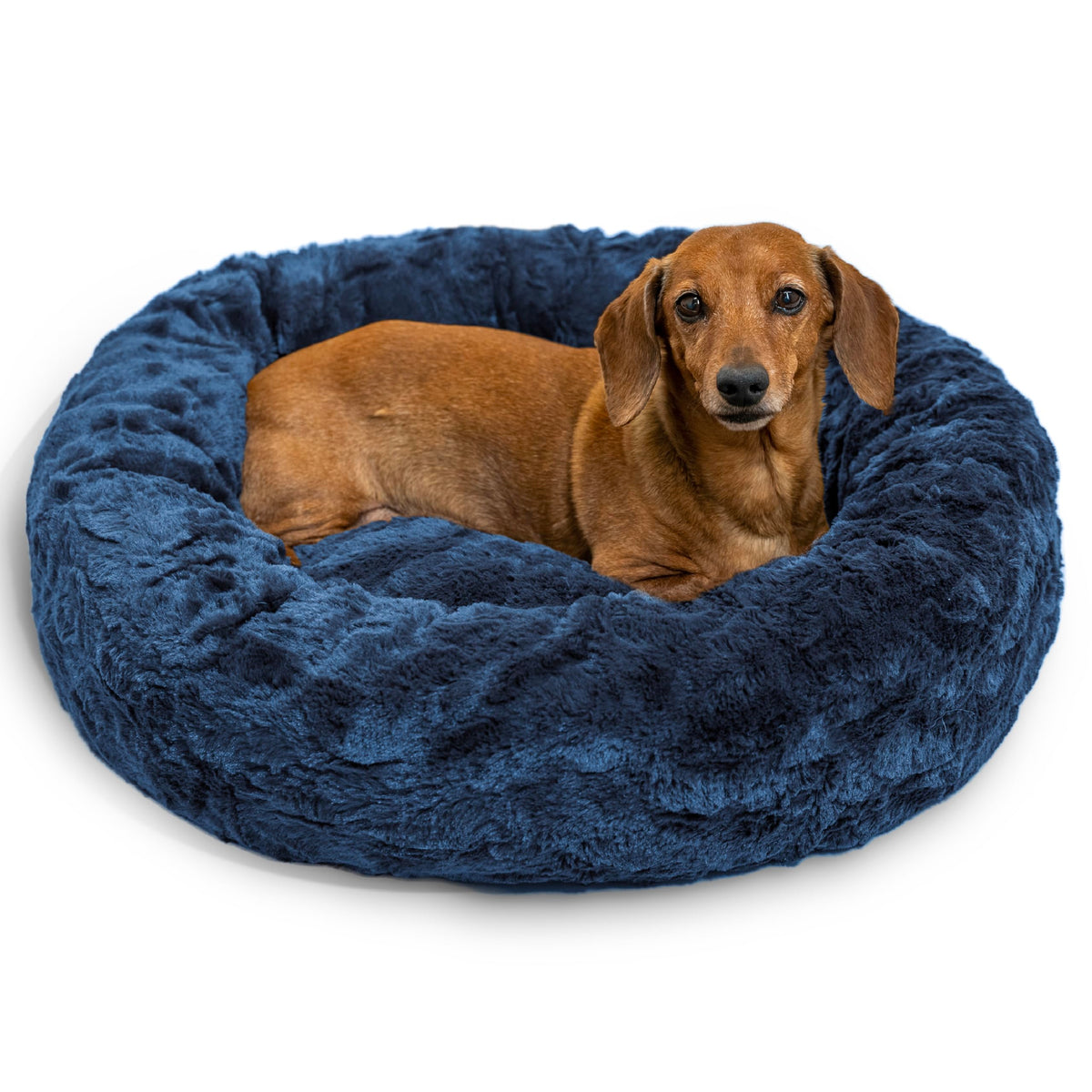 Best Friends by Sheri Donut Bed in navy creates a cozy haven for dogs up to 25 lbs.