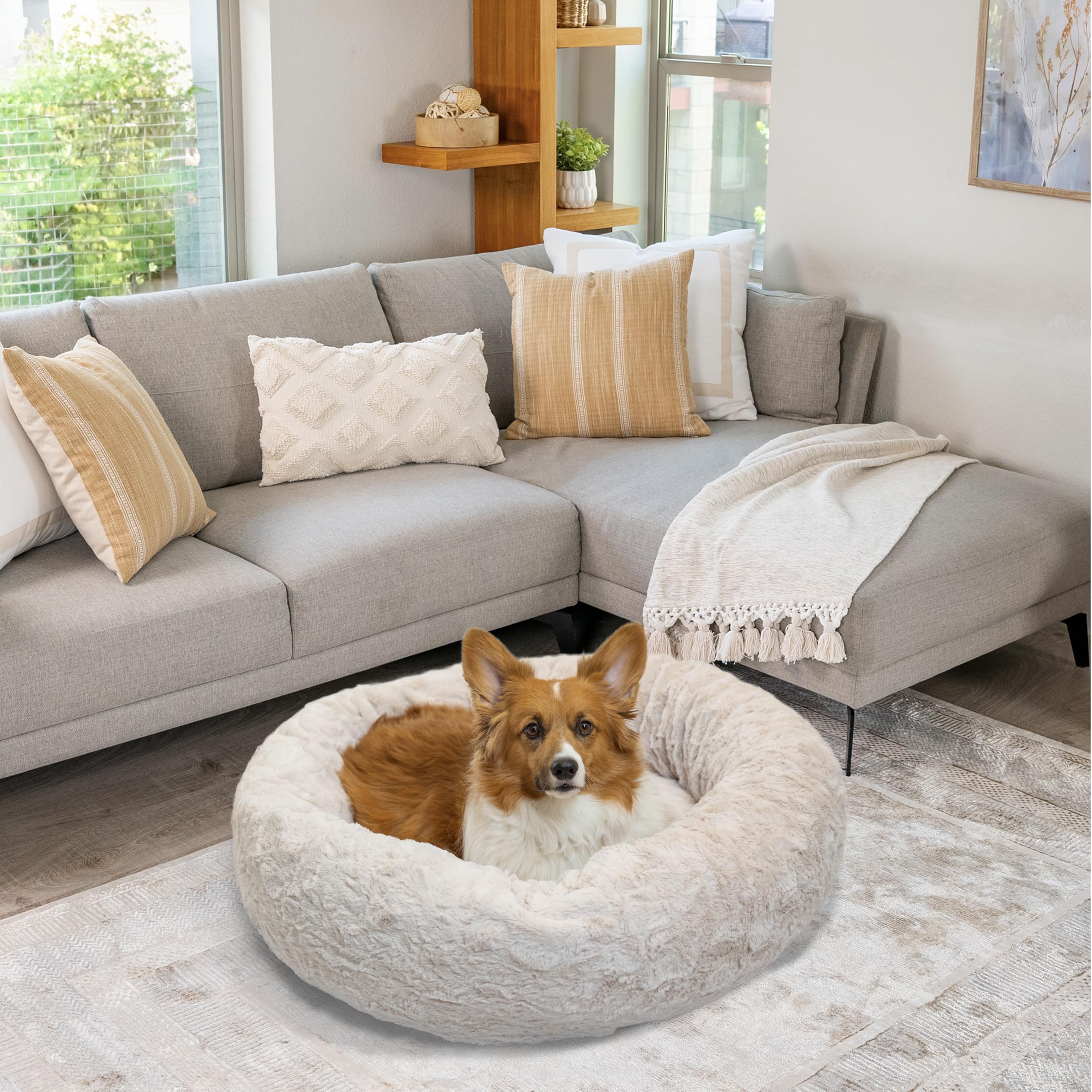 Best Friends by Sheri donut bed room scene complements neutral décor.