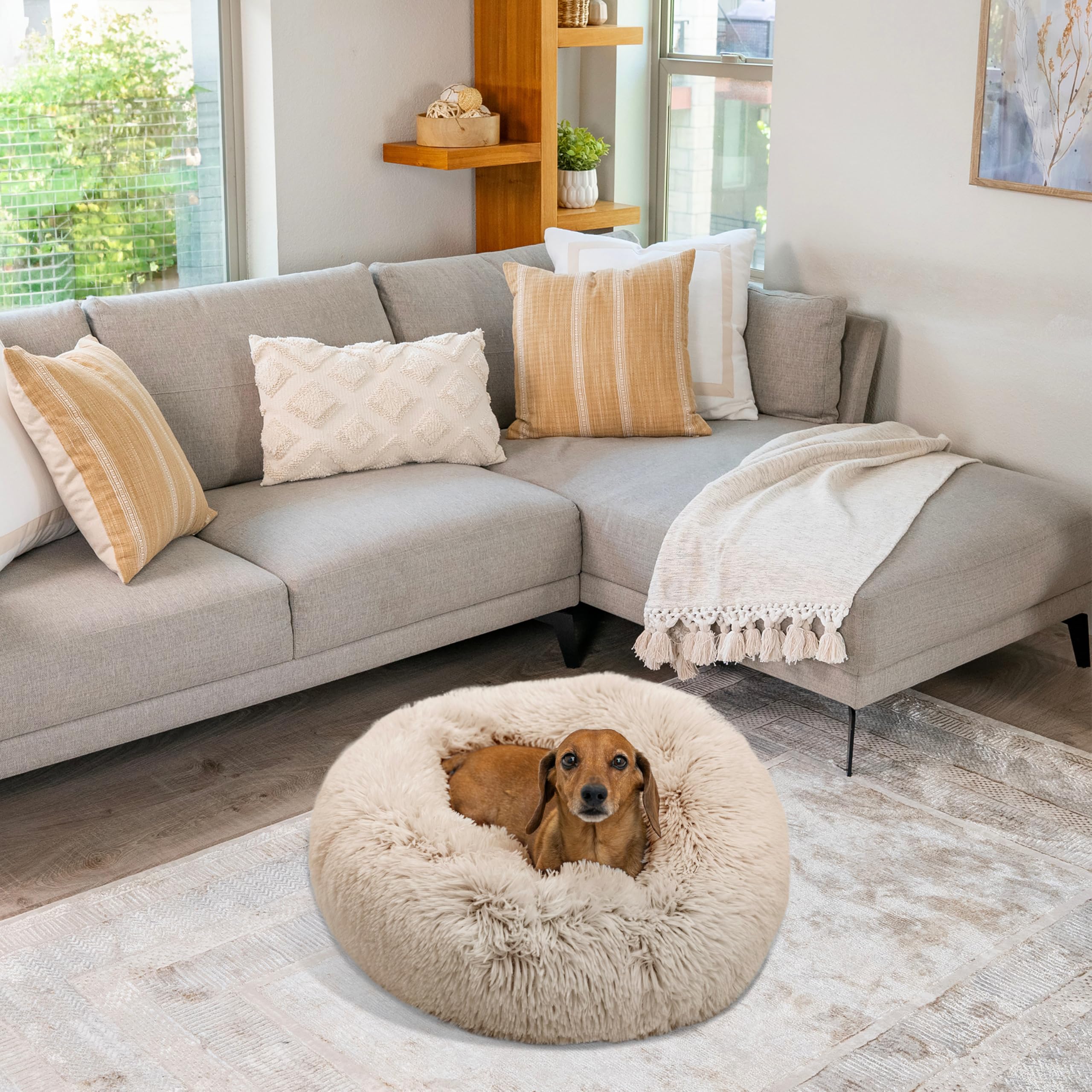 Best Friends by Sheri donut bed taupe in use by a small dog for napping