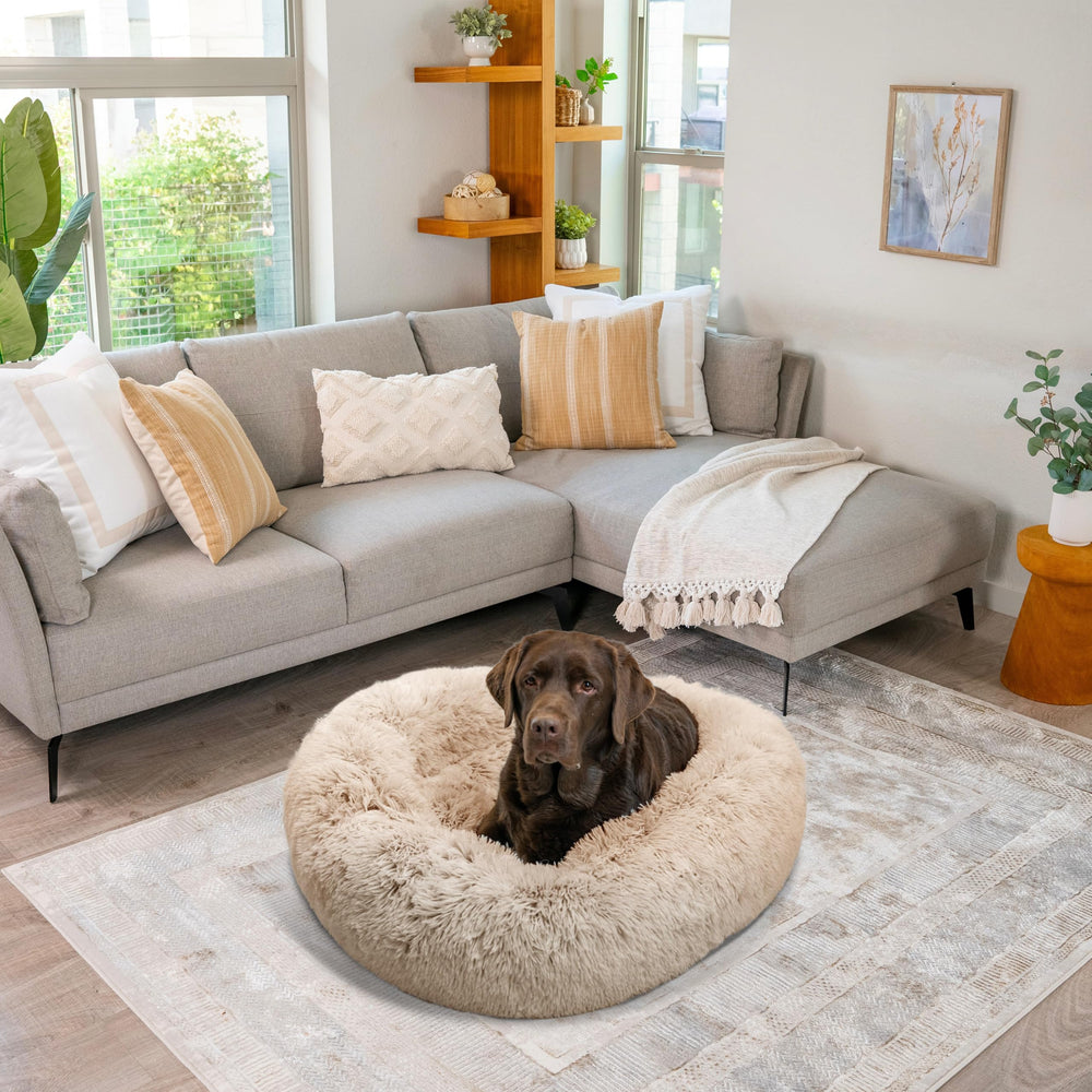 Best Friends by Sheri bed with removable cover for easy cleaning.