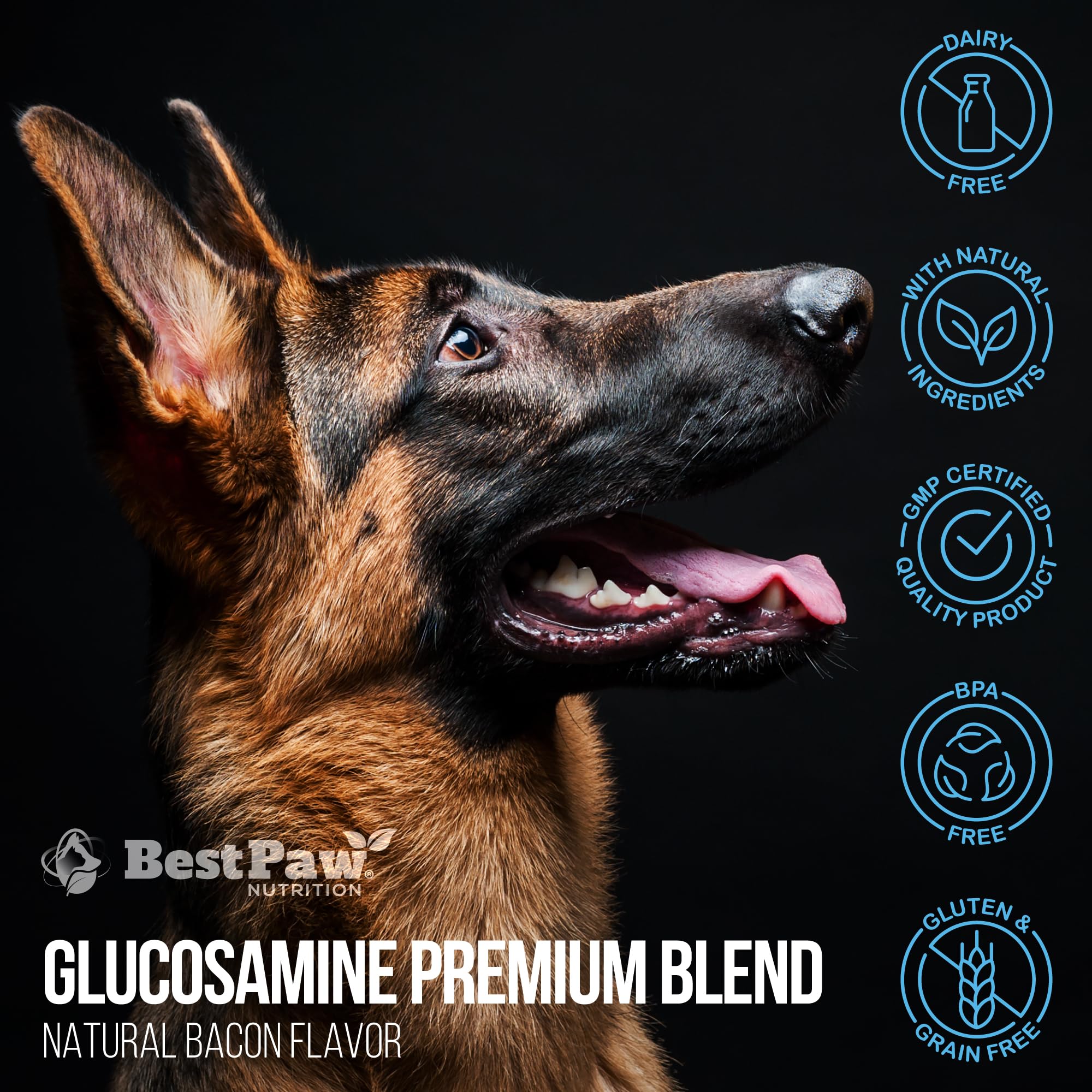 Best Paw Nutrition easy-mix formula helps consistent daily intake for pets.