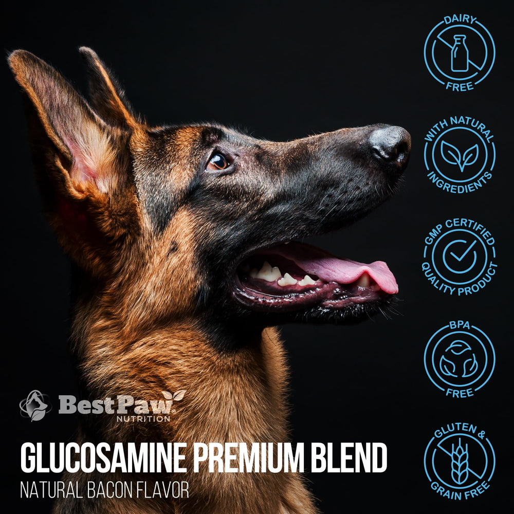 Best Paw Nutrition easy-mix formula helps consistent daily intake for pets.