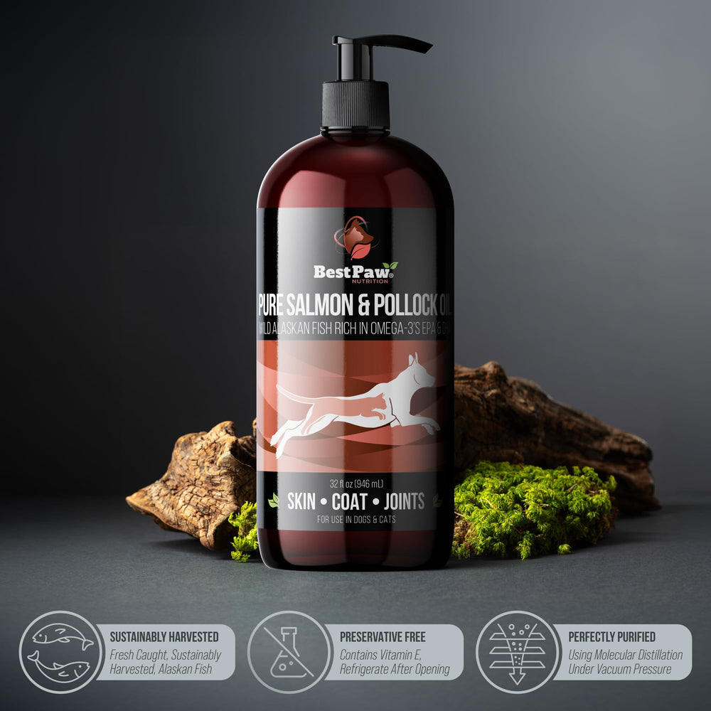 Best Paw Nutrition convenient formula for multi-pet homes and picky eaters.