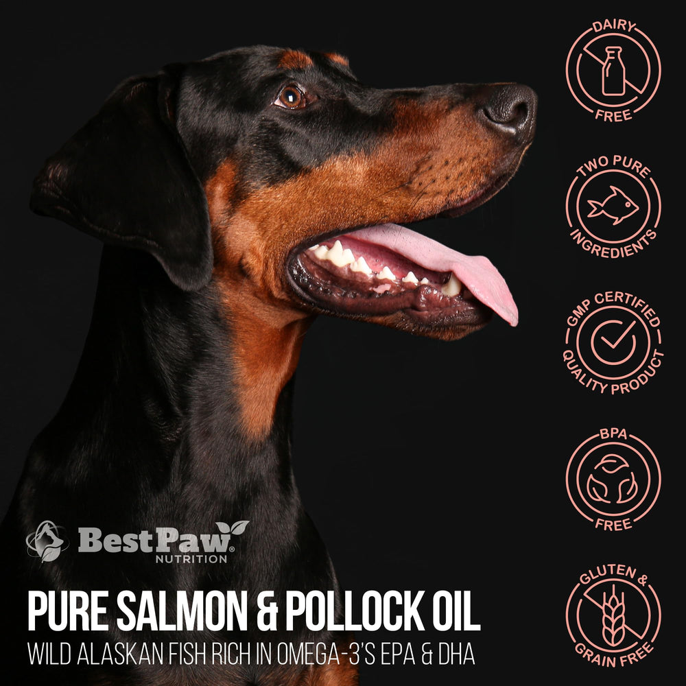 Best Paw Nutrition blends easily with meals for dogs and cats.
