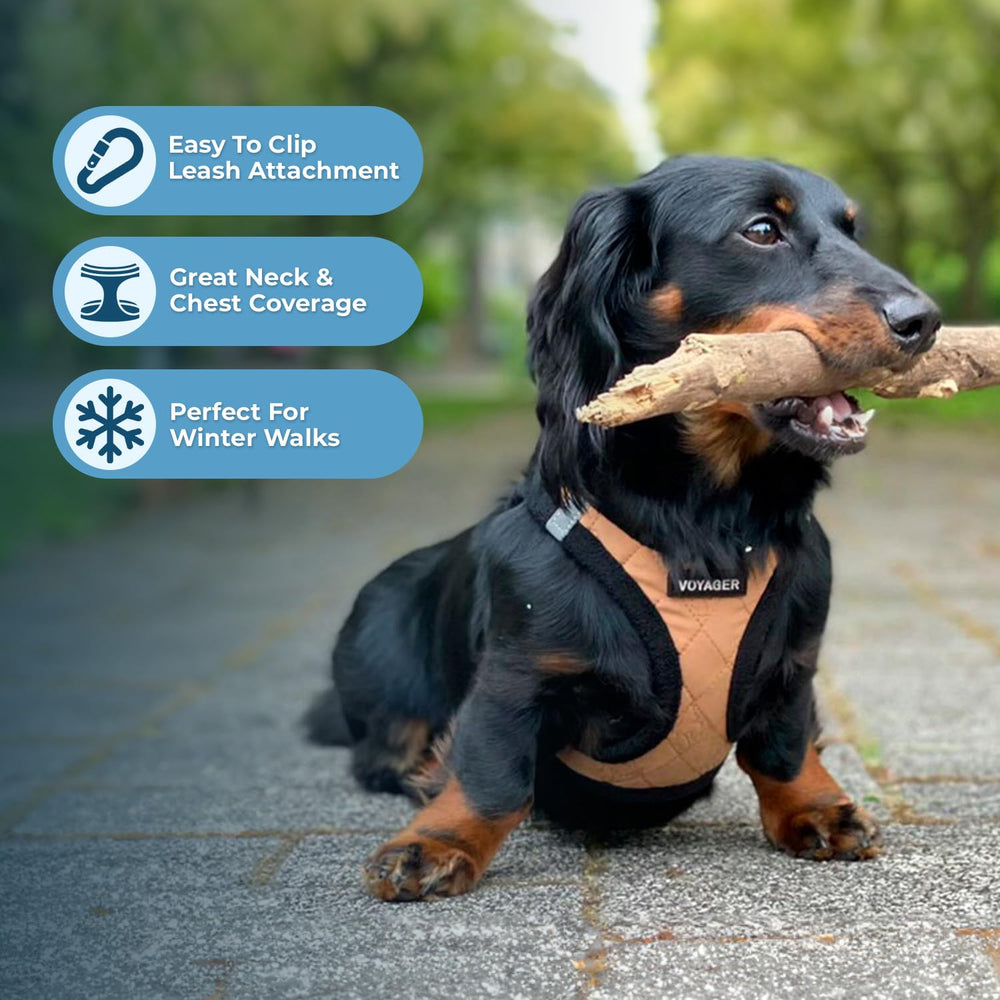 Best Pet Supplies high-visibility straps improve nighttime visibility.