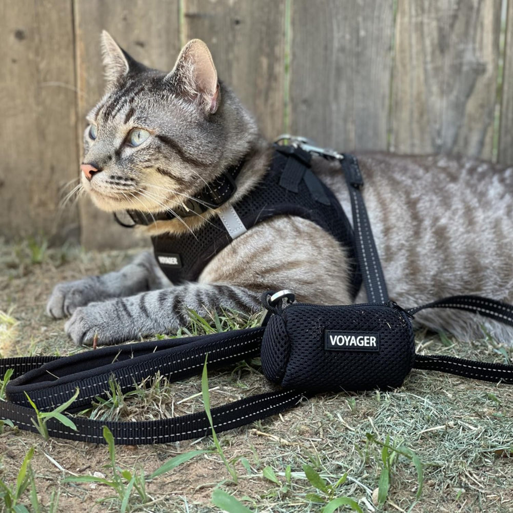 Best Pet Supplies all weather harness model wearing for cat and dog use.