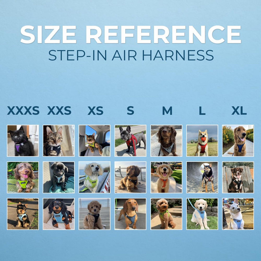 Best Pet Supplies size guide and chart help achieve proper fit