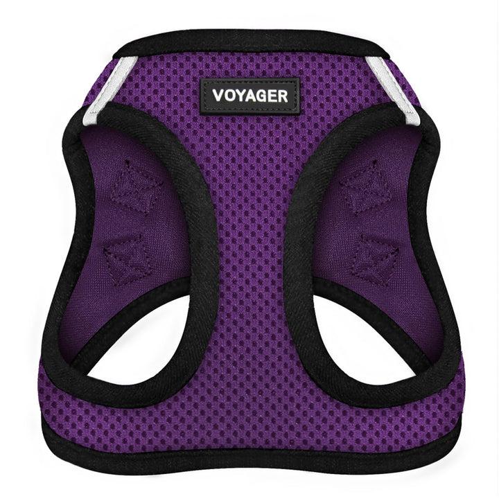 Best Pet Supplies All Weather Mesh Harness on a small dog for comfortable year-round walks.