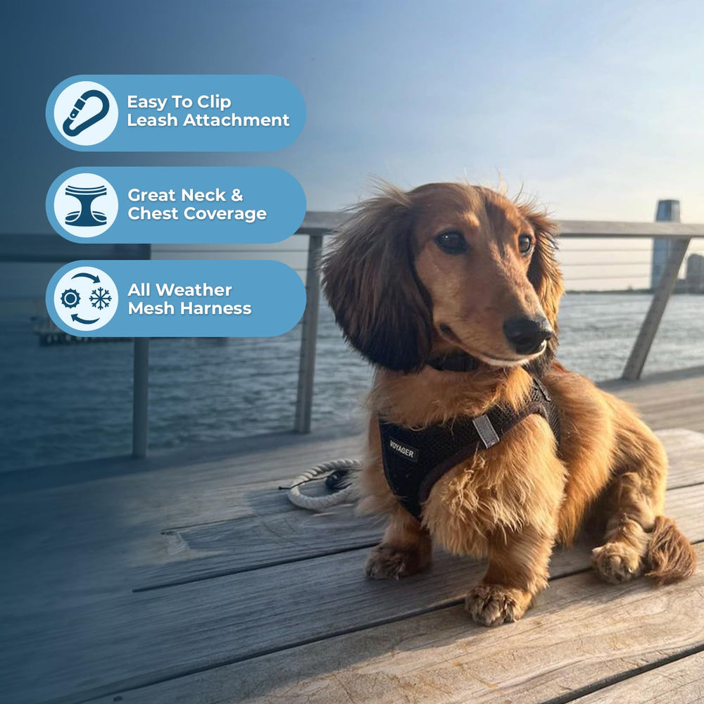Soft, breathable mesh of Best Pet Supplies harness keeps pets cool during activities.
