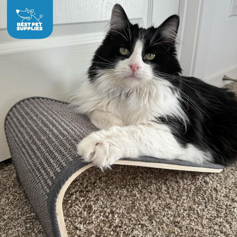 Best Pet Supplies Catify cream ramp highlights a stylish indoor play option
