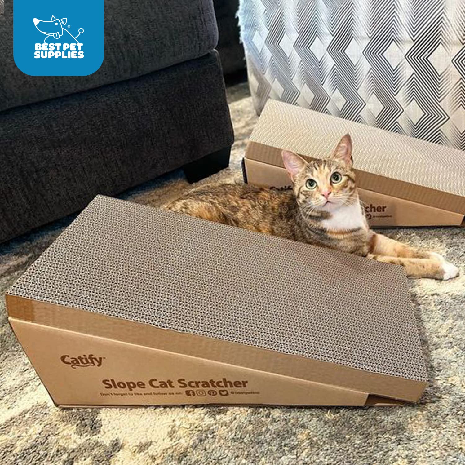 Best Pet Supplies Catify recyclable paper is eco-friendly and easy to dispose.