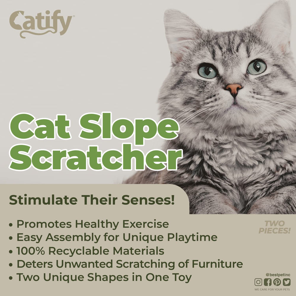 Best Pet Supplies Catify round refill demonstrates versatile scratching options for indoor cats.