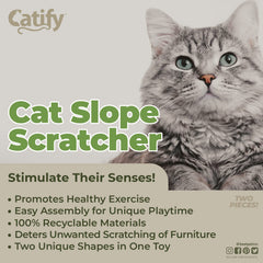 Best Pet Supplies Catify round refill demonstrates versatile scratching options for indoor cats.