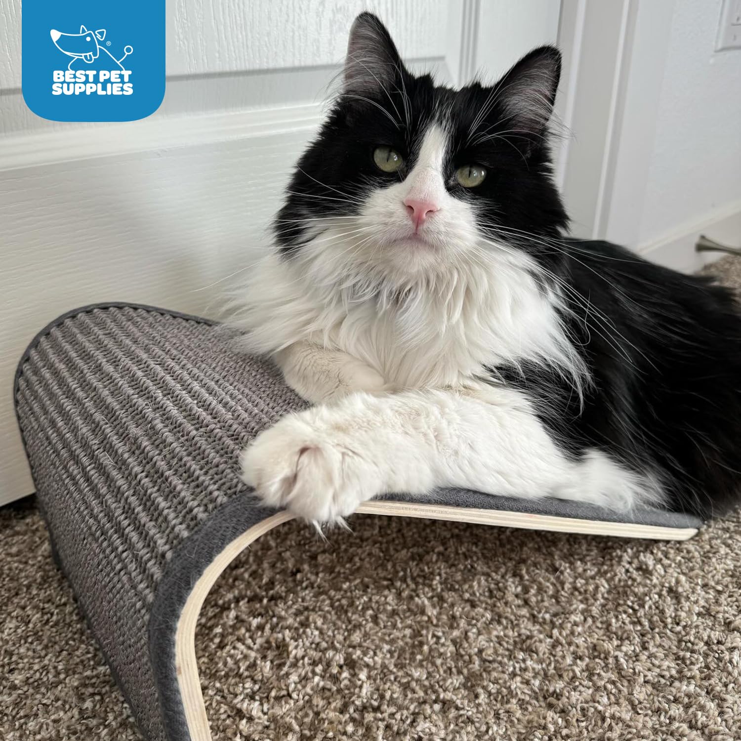 Best Pet Supplies Catify furniture-saver design helps reduce indoor damage.