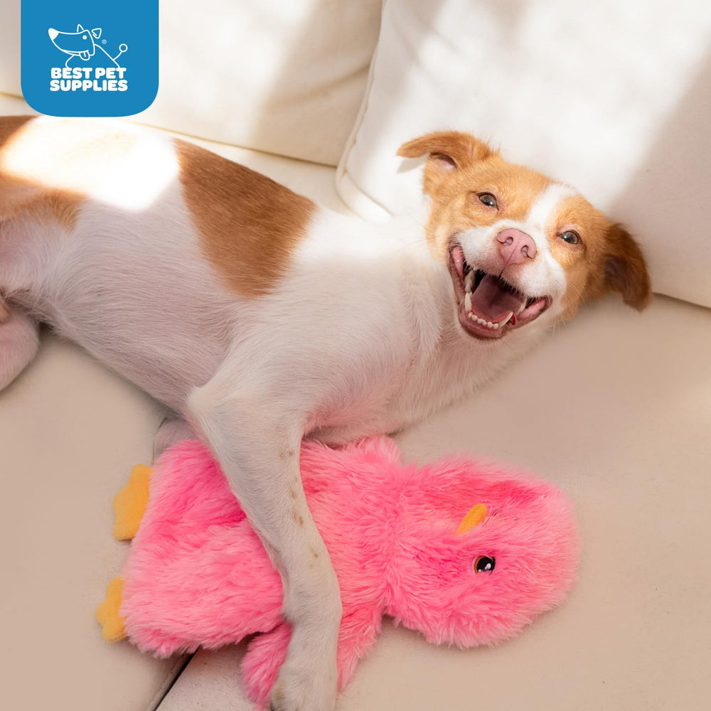 Best Pet Supplies squeak head toy adds audible stimulation for dogs during chew time.