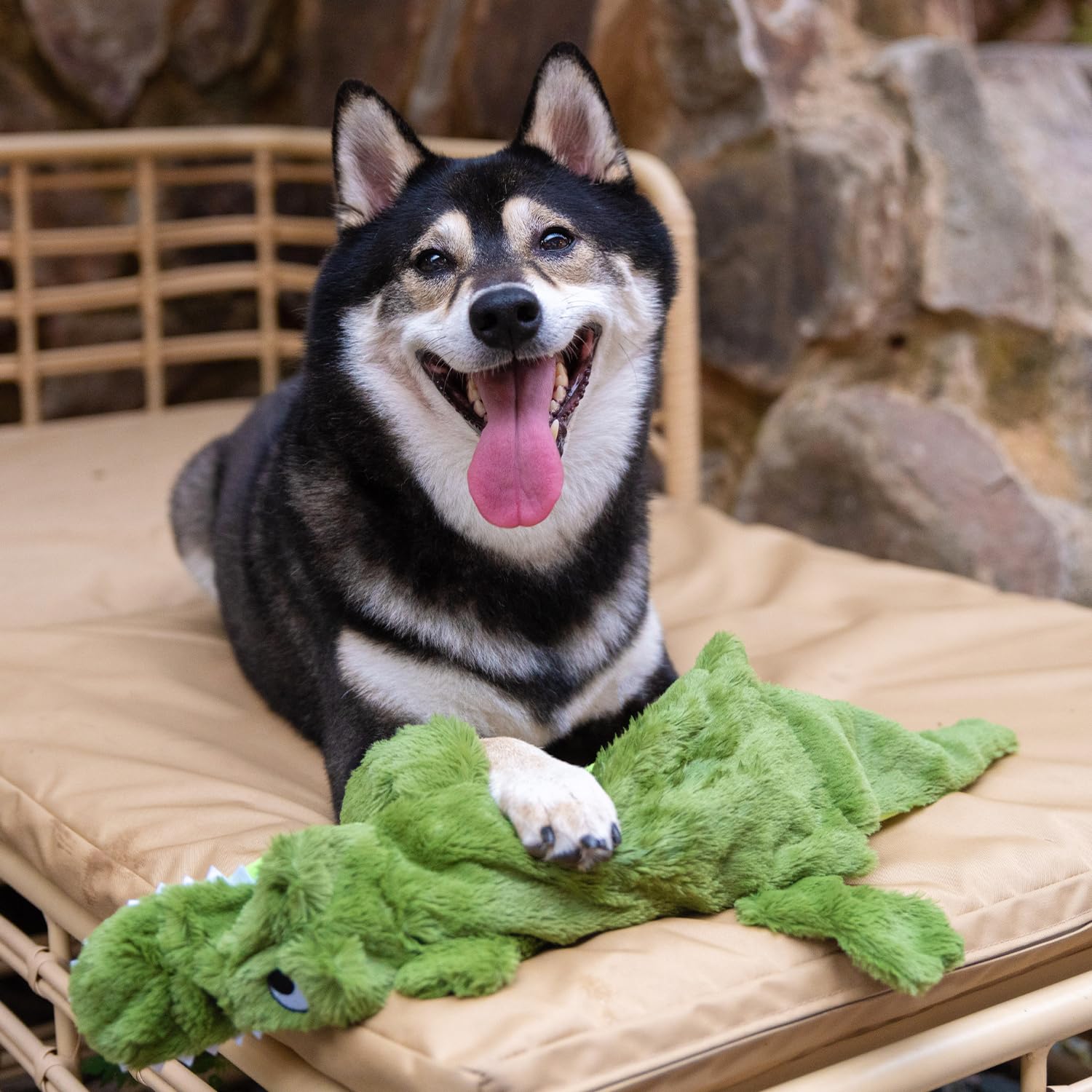 Best Pet Supplies dual-squeaker toy delivers continuous auditory stimulation