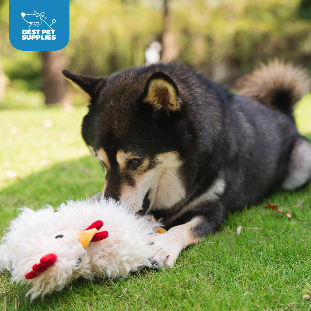 Best Pet Supplies durable chew toy offers varied play to keep dogs entertained