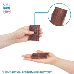 Dog chewing on Gigabite Beef Esophagus Stick, a high-protein natural chew.
