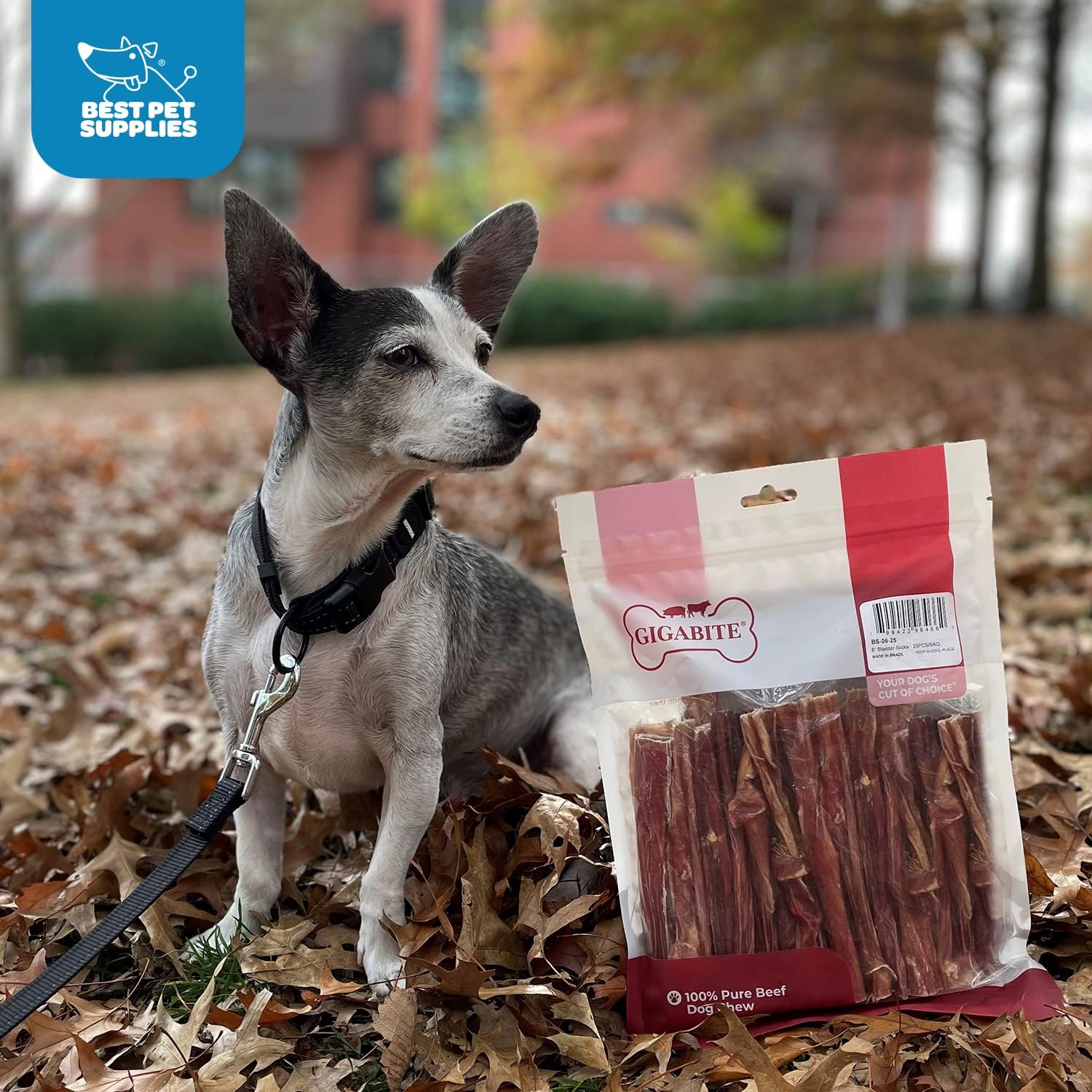Graphic highlight: single-ingredient beef esophagus chews by GigaBite for dogs