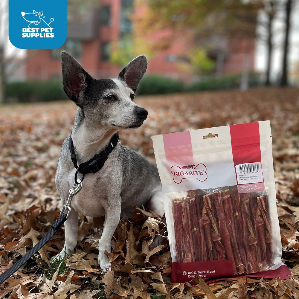 Graphic highlight: single-ingredient beef esophagus chews by GigaBite for dogs