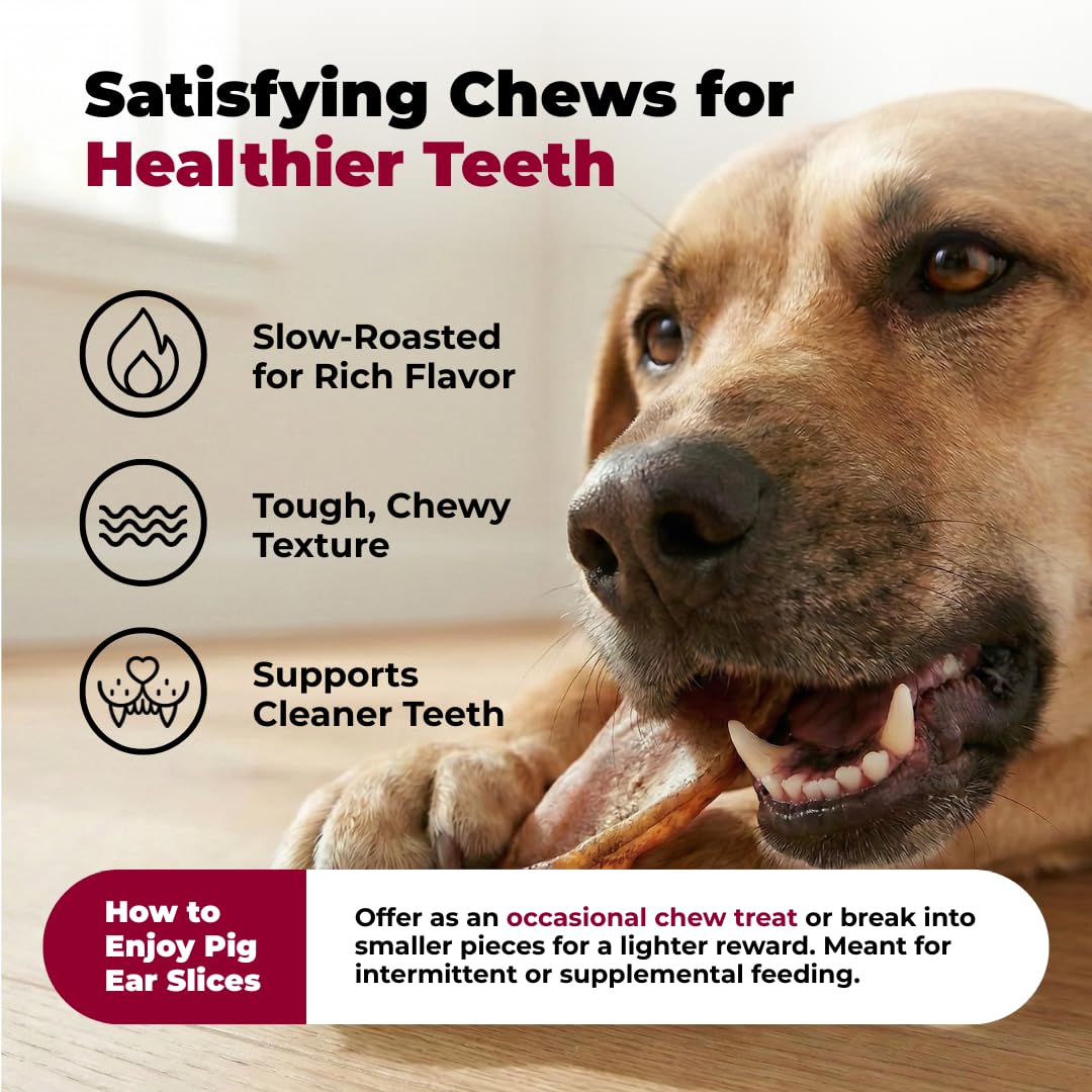 Best Pet Supplies GigaBite dog chewing ear closeup shows texture and chew appeal