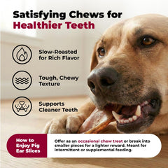 Best Pet Supplies GigaBite dog chewing ear closeup shows texture and chew appeal