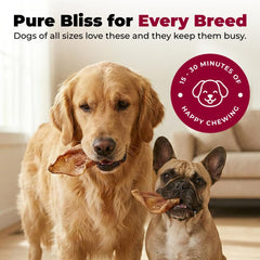 GigaBite small-dog slices illustrate versatile bite sizes