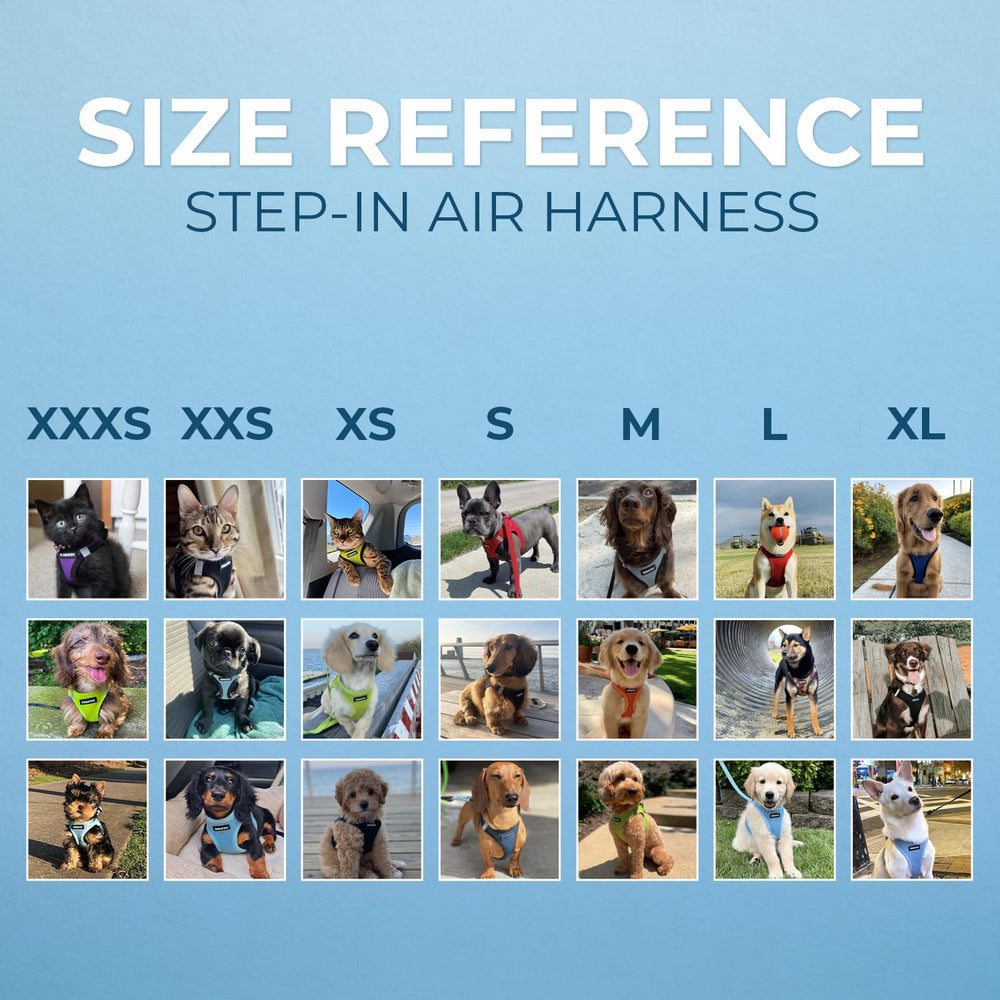 Best Pet Supplies secure hook-and-loop fastener for quick, easy wearing