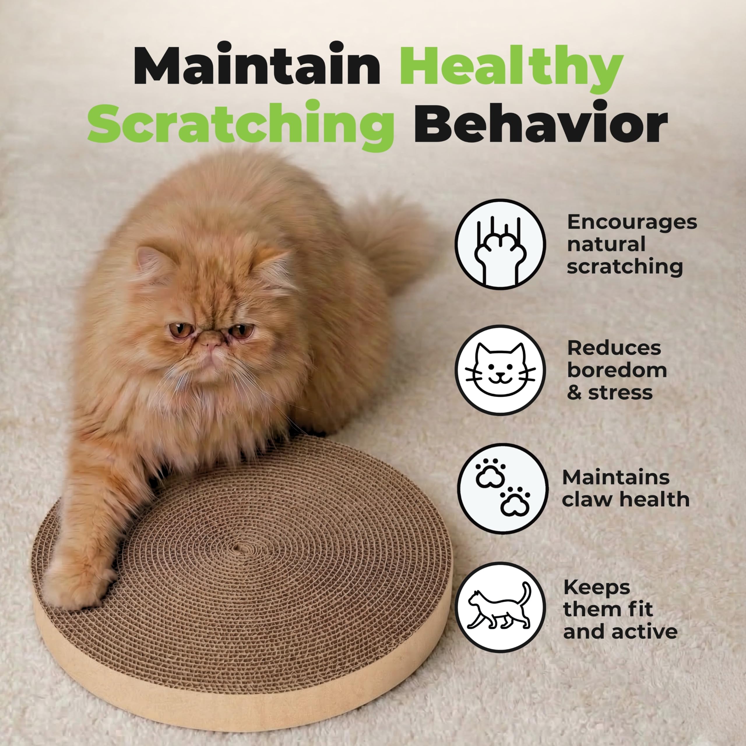 Best Pet Supplies indoor play solution helps redirect claws away from furniture