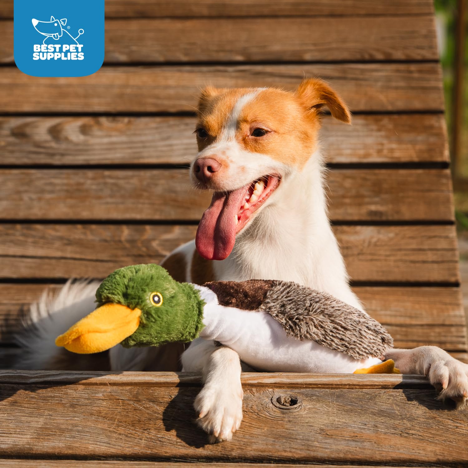 Best Pet Supplies large duck mystery box ideal for fetch sessions