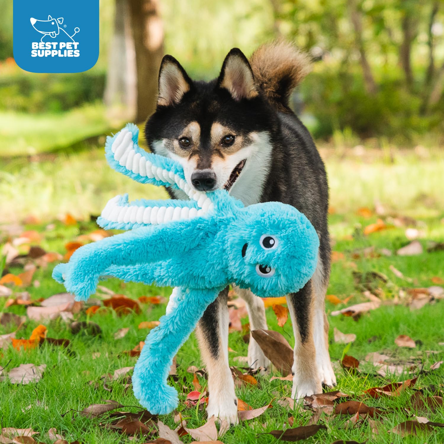 Best Pet Supplies Octomutant toy large size suitable for dogs of all sizes.