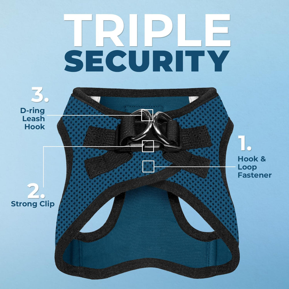Best Pet Supplies plush padding harness with blue trim for soft comfort
